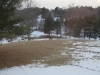 at-least-16-deer-in-yard-toward-cottonwood-2-medium
