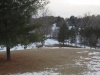 at-least-16-deer-in-yard-toward-cottonwood-4-medium