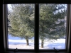 snowy view of acreage, home for sale quad cities illinois