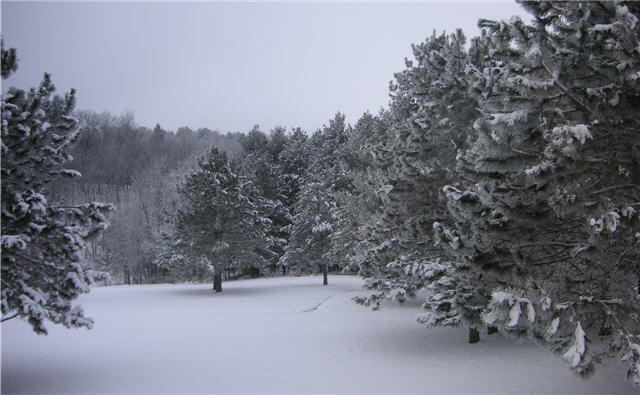 Living in a Winter Wonderland home with property or acreage