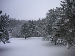 Living in a real life winter wonderland property or acreage