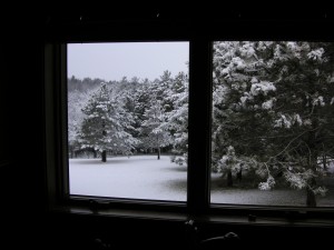 Snowy Backyard View From Kitchen Window